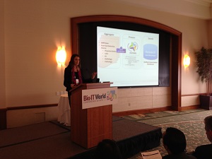 Bio-IT 2013